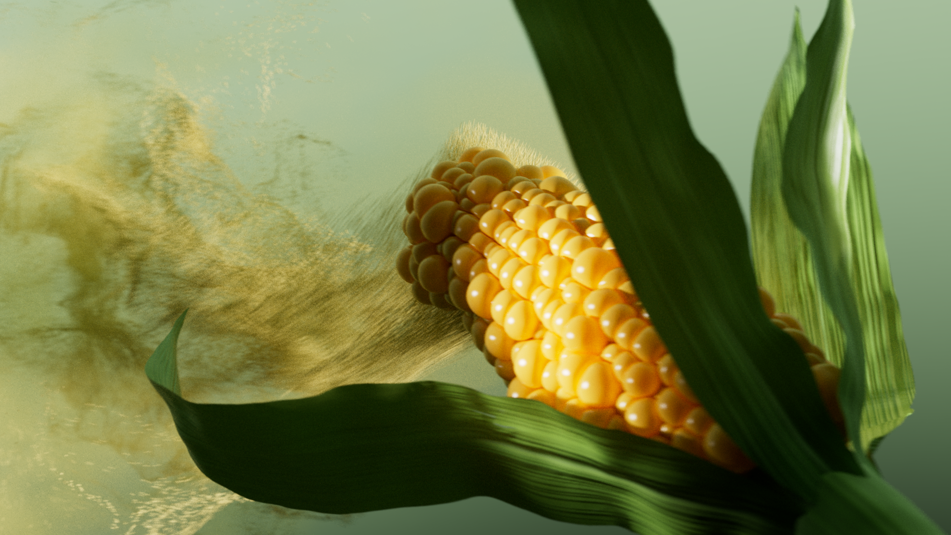 Corn_still_3